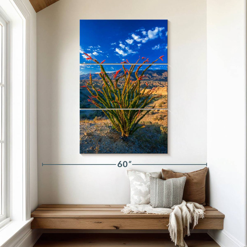 Ocotillo In Anza Borrego