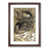 Walnut Framed