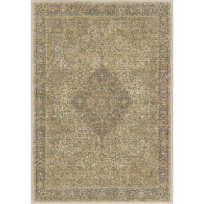 Espy Ankara Vintage Medallion Oriental Area Rug