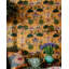 Tales Of Maghreb Wallpaper Roll-395154596
