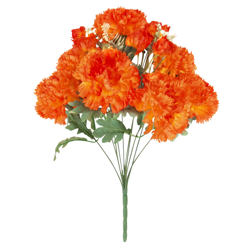 Oeillet, Orange