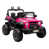 Pink est en rupture de stock