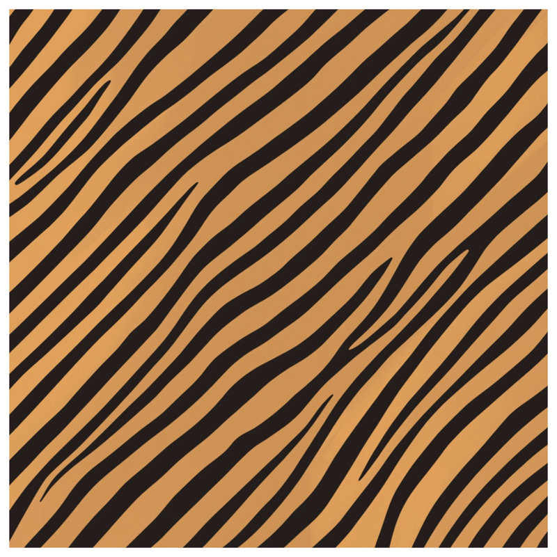 Rideaux de douche noir et orange à rayures Tiger, 70 po l x 72 po H