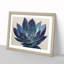 Watercolour Succulent Plant Vol.3 - Framed Print-1922336864-1922336869