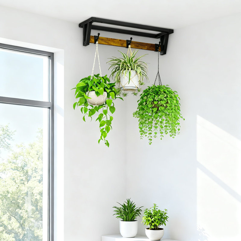 Support à plantes mural robuste avec 6 crochets, barre de support pour tablettes en métal et en bois pour plafond de fenêtre de cuisine d'intérieur