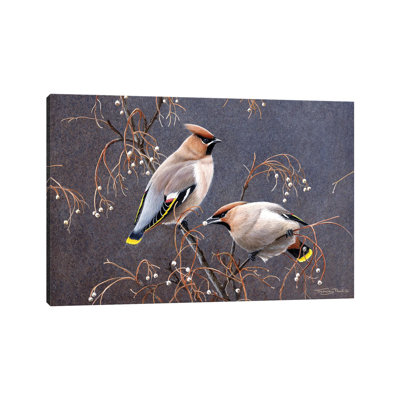 " Waxwings " by Jeremy Paul