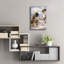 Art mural en verre acrylique «Tropical 16» par DAG, Inc Epic Art, 16 po x 24 po-118049424