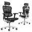 Ergohuman ME7ERG High Back Executive Office Desk Chair with Headrest-981209269