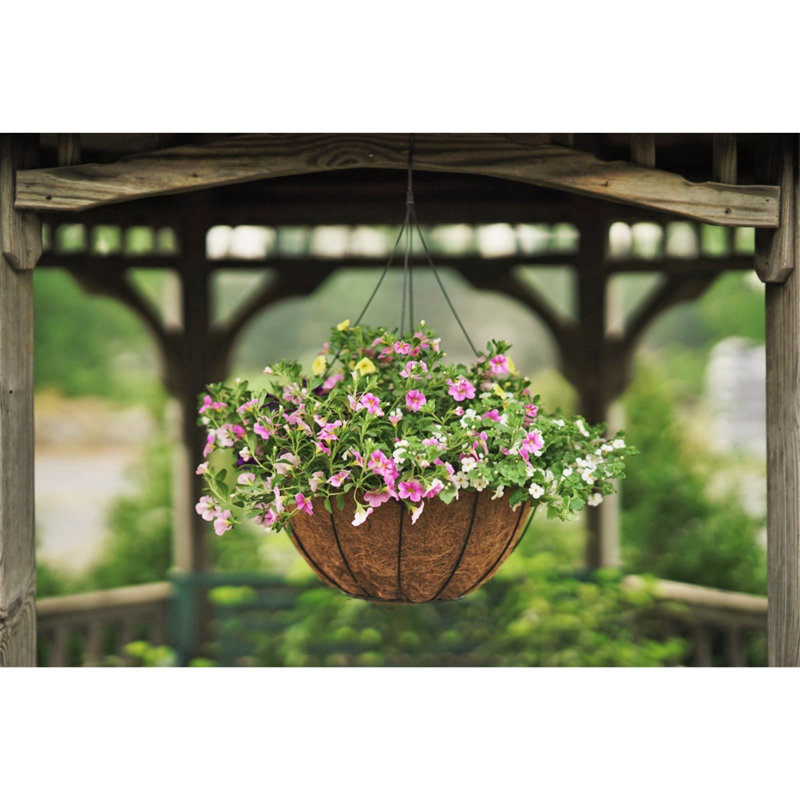 Hanging Planter