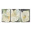 «Reaching for the Sun IV», reproduction d'art sur toile encadrée-481464106
