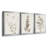 " Neutral Botanical Study IV " 3 - Pieces-1985761733-1985761729