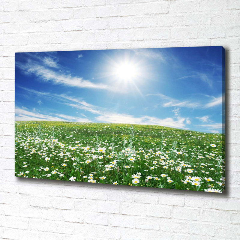 Meadow - Wrapped Canvas Print