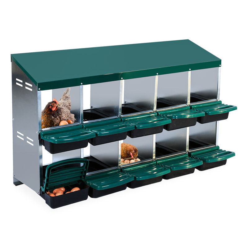 Egg Boxes & Baskets