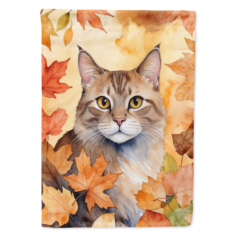 Chat en feuilles d'automne, Dwelf