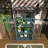 62'' Tall Wood Cold Frame Mini Greenhouse With Wheels And Adjustable Shelves