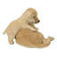 Mère et bébé Labrador