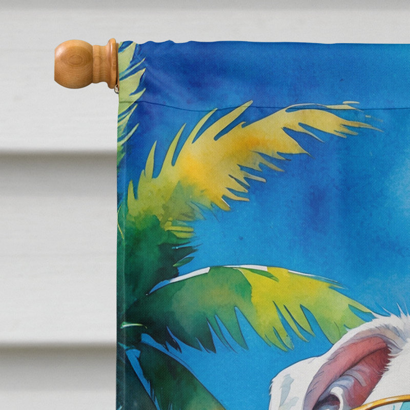 Drapeau de la maison esquimau américain, Boxer blanc