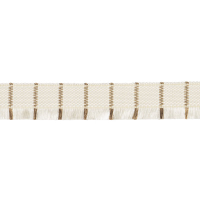 Schumacher x Patterson Flynn Frances Silk Fringe