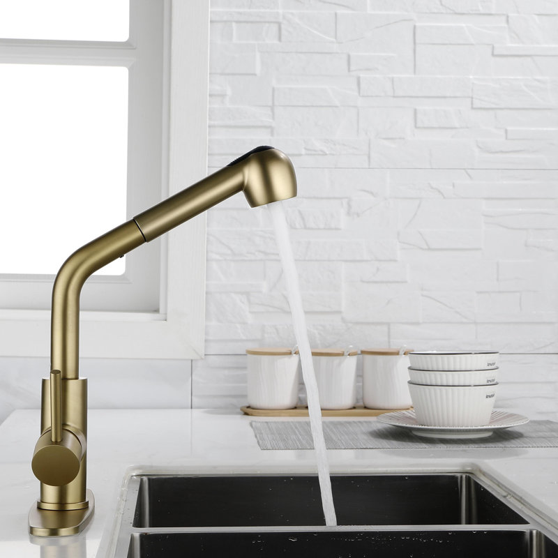 KISRAIS Pull Out Kitchen Faucet Side Spray, Gold