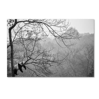« relax », reproduction de photo sur toile tendue