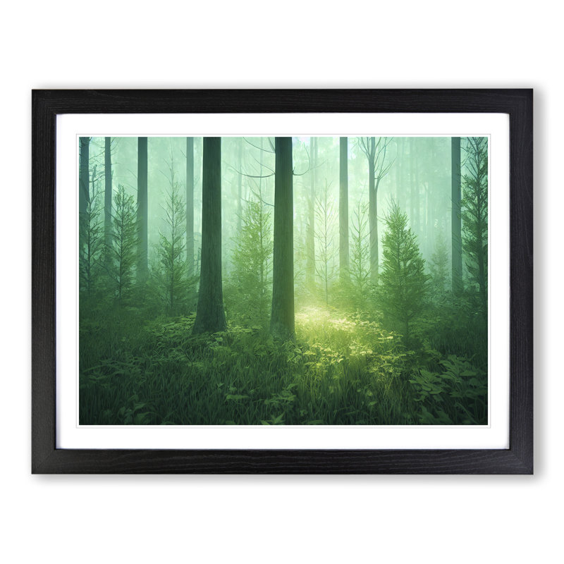 An Unbelievable Forest - Single Picture Frame Print, 46cm H x 64cm W, Black