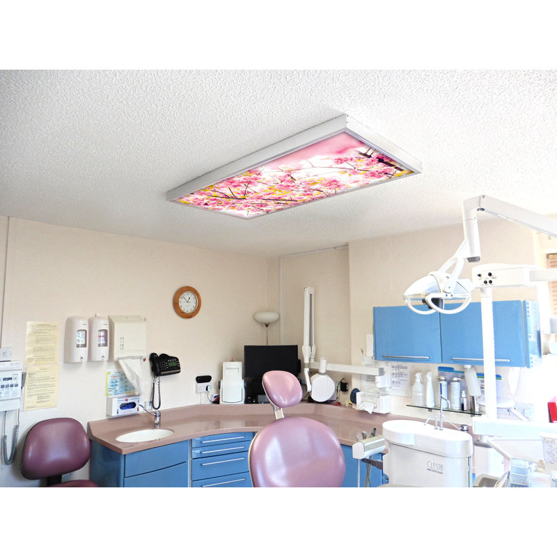 Octo Lights - Fluorescent Light Covers - Flexible Decorative Light Diffuser Panels - Flower - For Classrooms And Offices - Flower 006