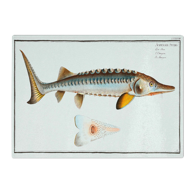 Tempered Glass Sturgeon Fish by M.E. Bloch Chopping Board, 28.5 cm x 20 cm