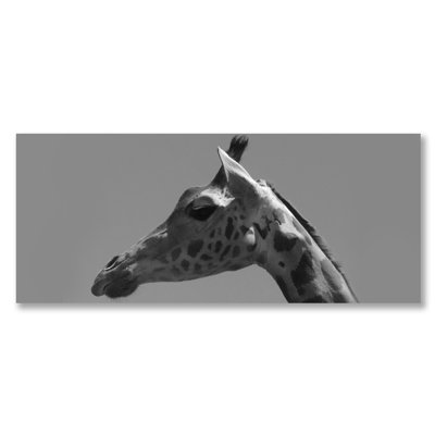 Art animalier - Très grand panneau photographique «Giraffe Profile Black & White»