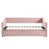 Rose est en rupture de stock