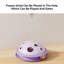 Distributeur de collations pour chats Leaking Food-117330076
