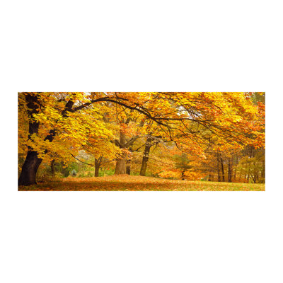 Autumn In The Park - Print