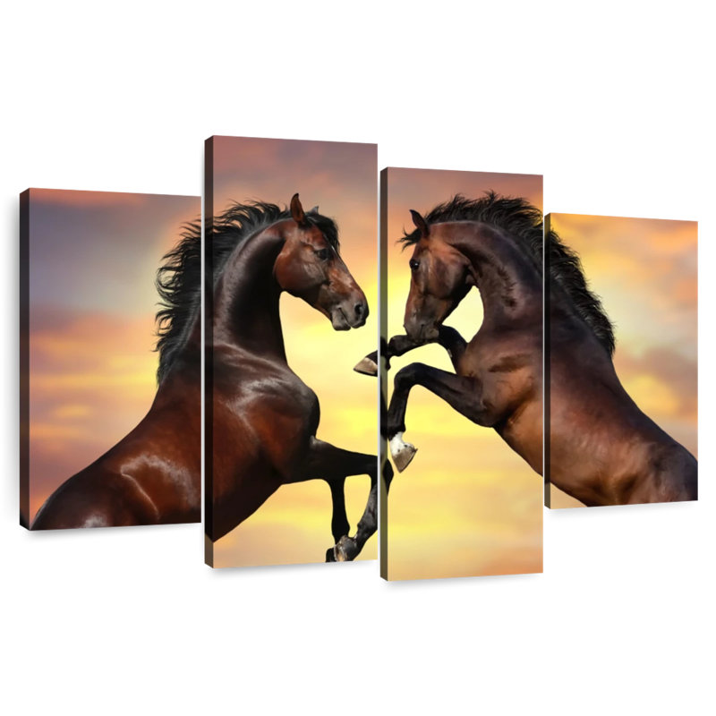 Brampt, élevage de chevaux, H 42 po x l 68 po
