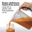 Extracteur de jus Hamilton Beach® Professional
