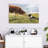 Brampt Border Collie And Cow-107707384