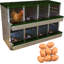 Chicken Coop