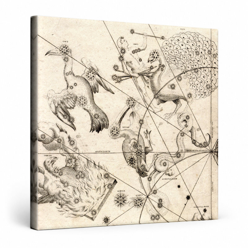Uranometria - Southern Birds Plate (1603) - art mural carré sur toile