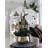 Roberi Arrangement in Pot-311770224-318745110