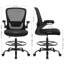 Royola Office Chair