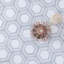 Interspace Honeycomb Polished Marble Tile-1609017087