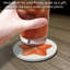 Sous-verre rond et simple Starfish Dream