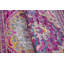 Tapis de style oriental lilas / beige Harrold-33441070