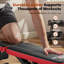 Banc de musculation FED Fitness DPK avec conception pliable | Capacité de 660 lb, dossier à 8 positions