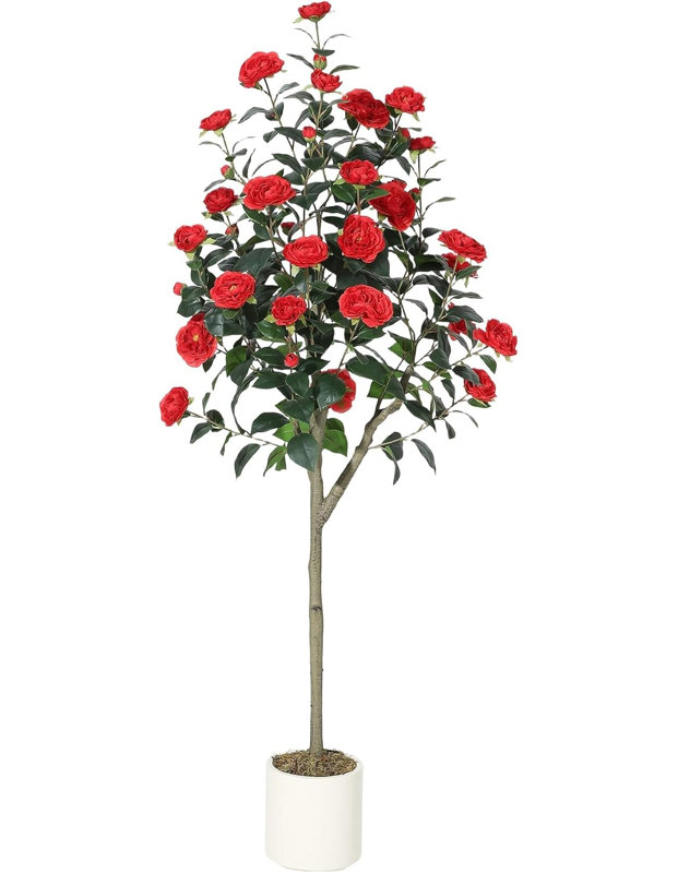 Plant, 152 cm H x 18 cm W 