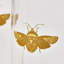 Spode, Creatures of Curiosity - Tumblers-61713195
