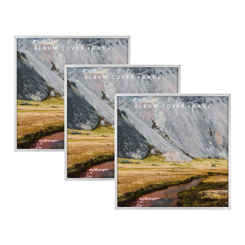 Tirmen Metal Picture Frame - Set of 3, Silver