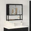 W H Medicine Cabinet Mirror-1173067414