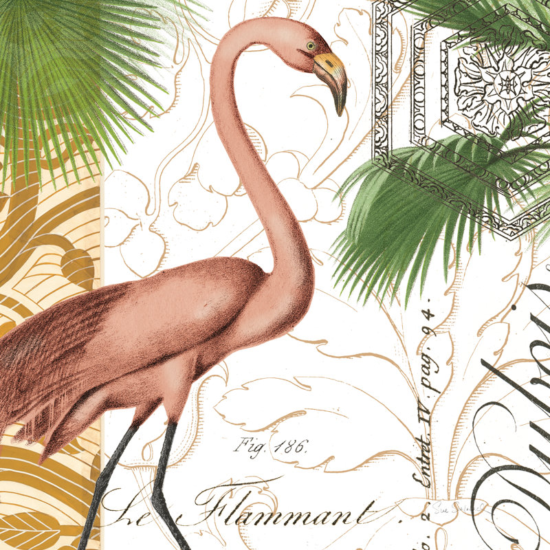 Flamingo Curiosity I by Sue Schlabach - Wrapped Canvas Print, 76cm H x 76cm W
