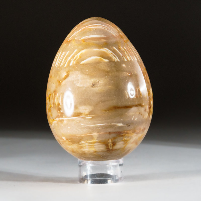 Petrified Wood Egg, Yellow/Brown, 3" H x 2" W x 2" D