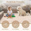 Area Rug-1799097278