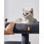 32cm H Cat Tree